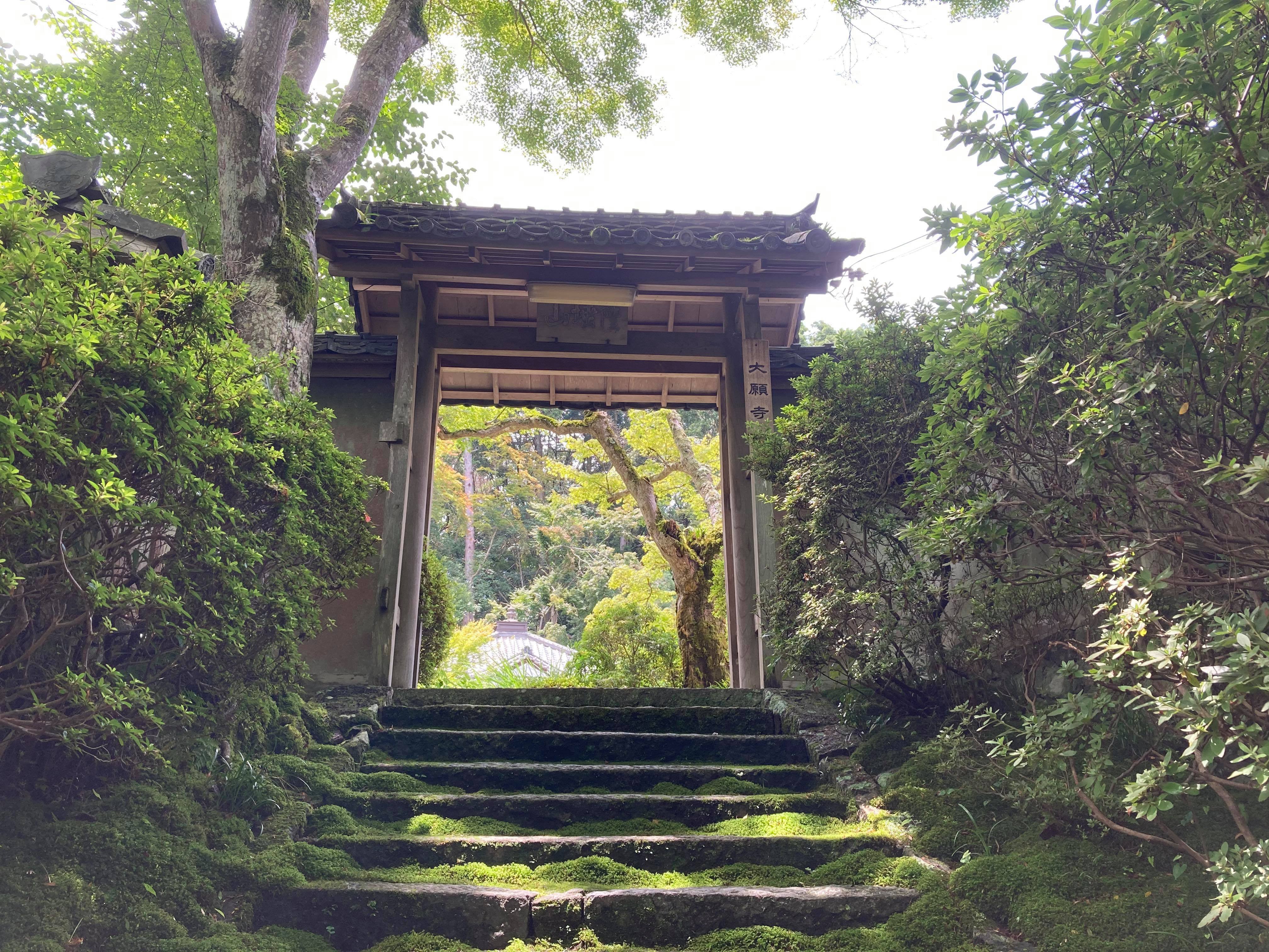 日本最古の薬狩りの郷　森野旧薬園と大巌寺の薬草料理を楽しむ