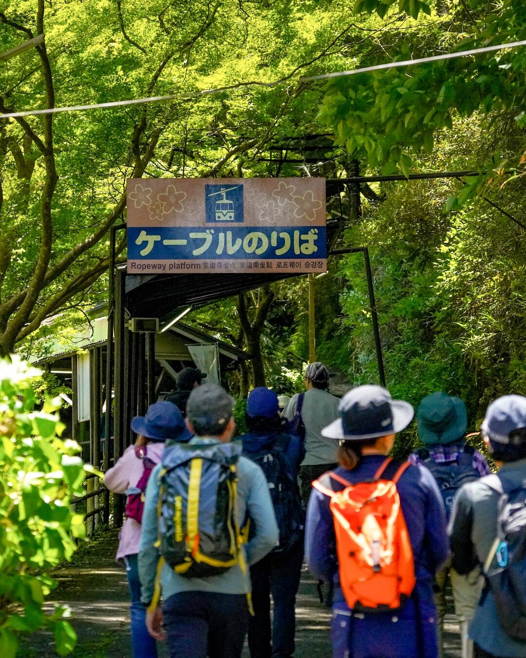 250501_吉野ツアー – 3.jpg